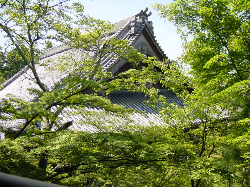 DSC01294